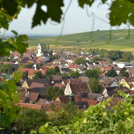 Ferienwohnung Schneckental Пфаффенвайлер Экстерьер фото