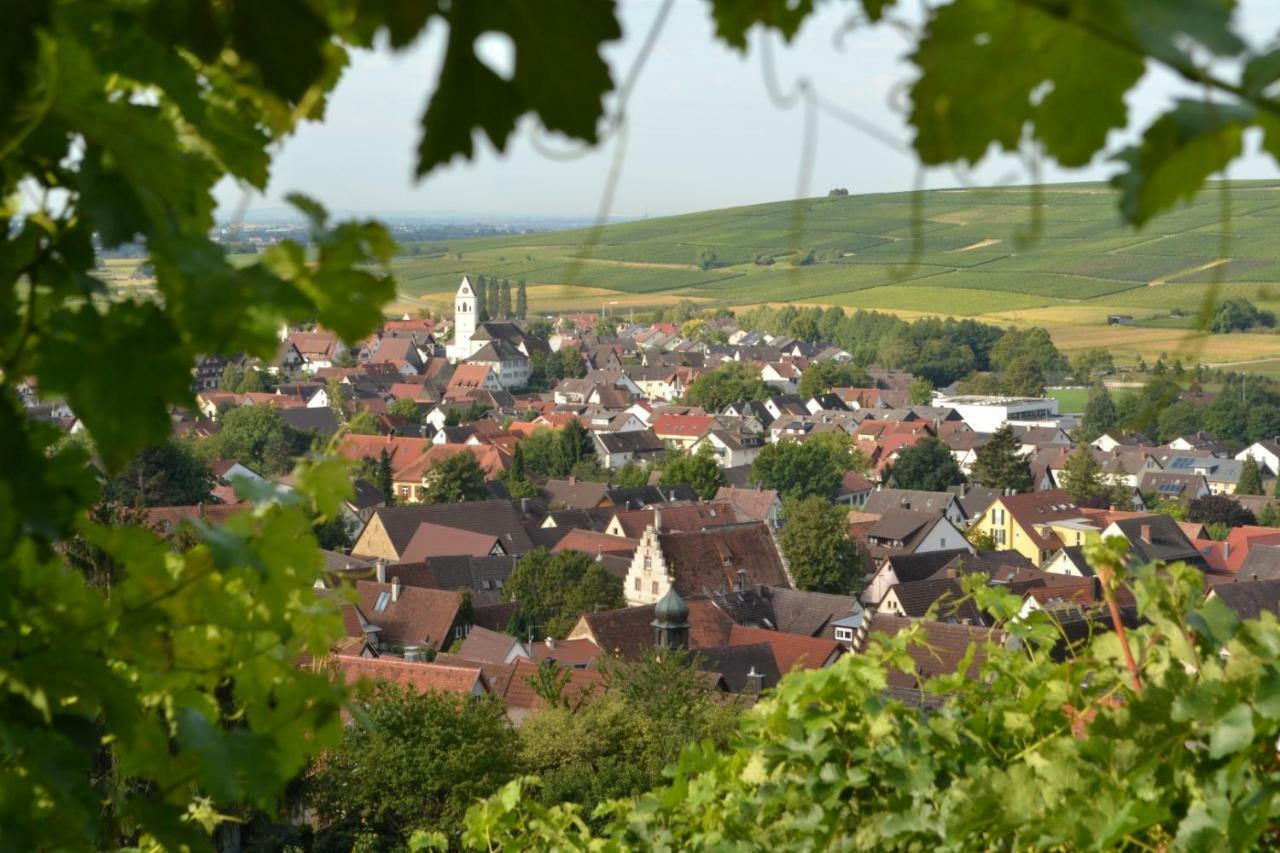 Ferienwohnung Schneckental Пфаффенвайлер Экстерьер фото